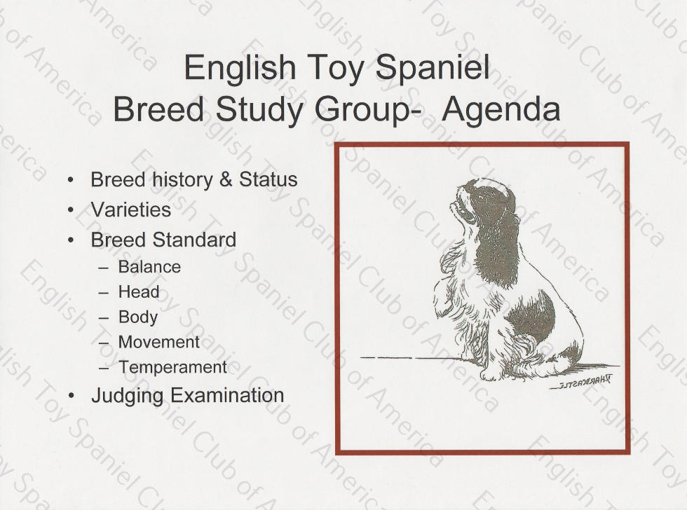 Breed Study Presentation