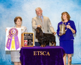 Best in Specialty