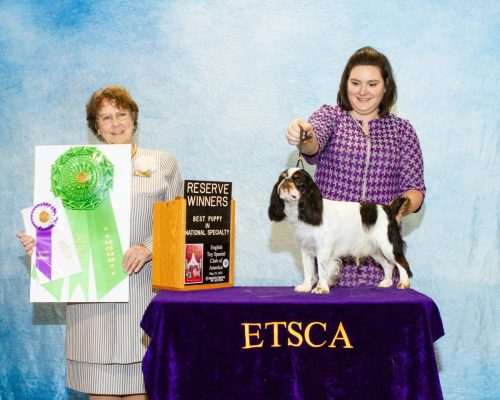 Best-puppy-Reserve-Winners-Dog