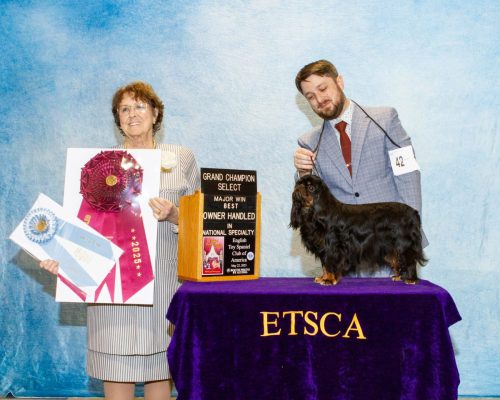 Select-Bitch-Best-Owner-Handler