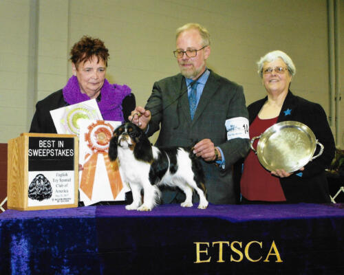 Best In Sweepstakes - Lipton Terje The People’s Princess -Breeders/Owners: Susan Carter and Jeff Wright